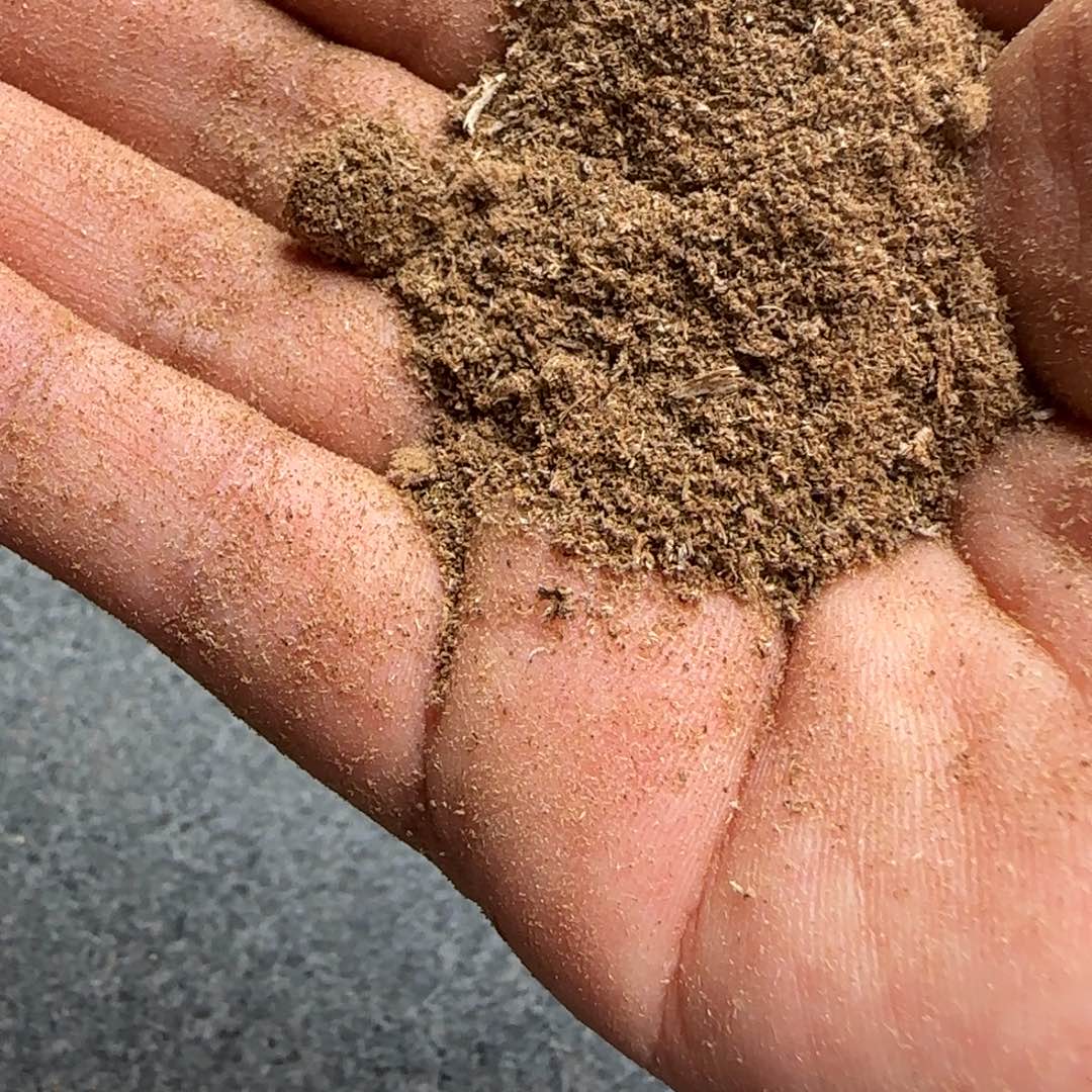 沉香碎屑沉香40克菩萨奇沉水粉