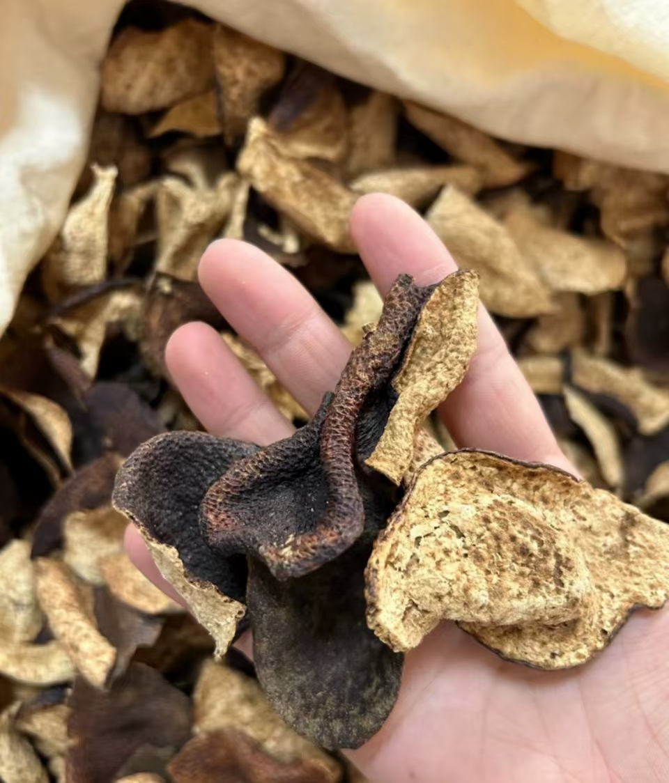 东甲大红皮2016年新会陈皮大红皮断皮   11年老树皮