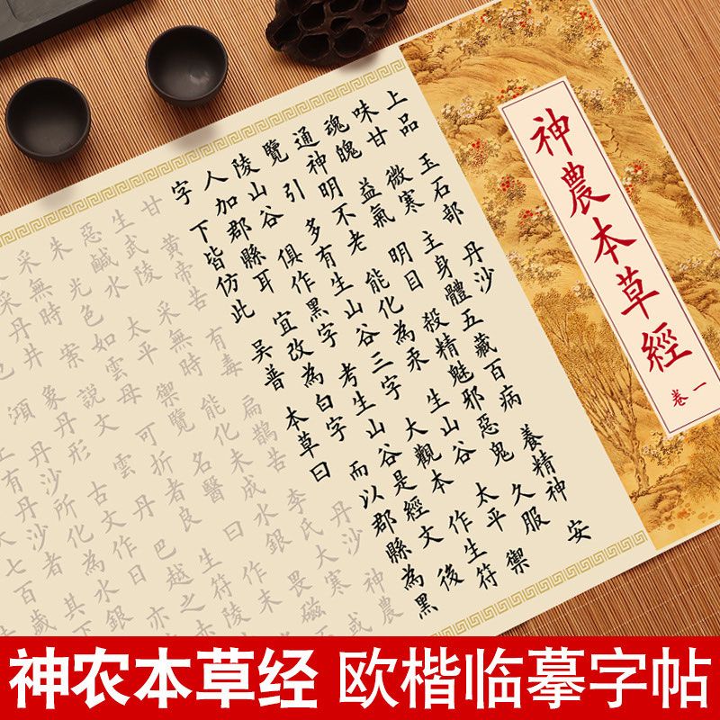 神农本草经本草纲目字帖临摹字帖中医经典手抄本临摹修心毛笔字贴