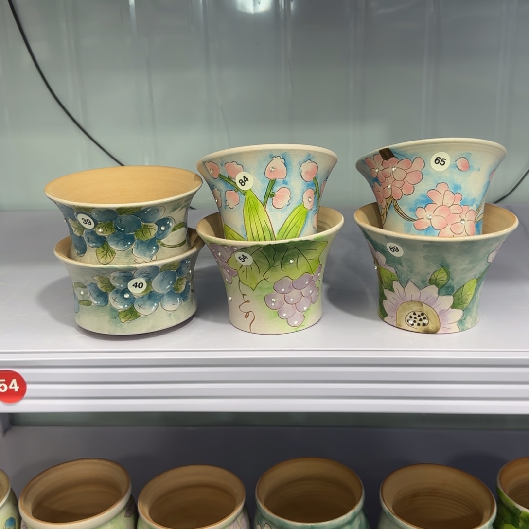 红陶田小姐多肉花盆