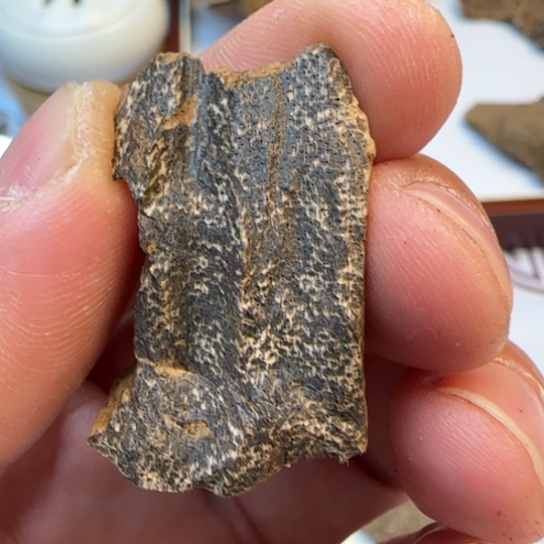 沉香摆件海*琦海南厚包头1.6克