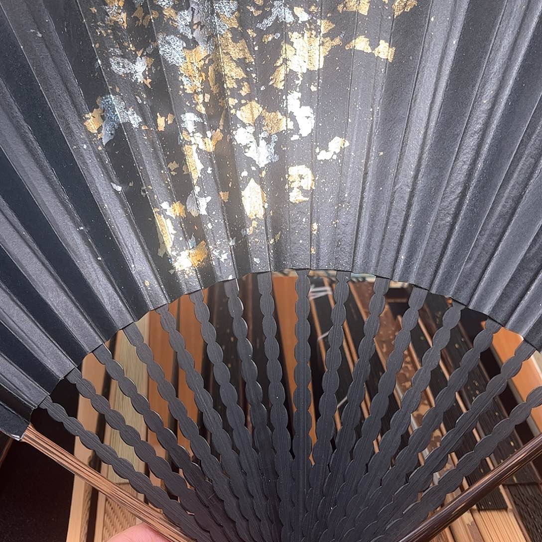 扇子爆炸金龙鳞粽竹