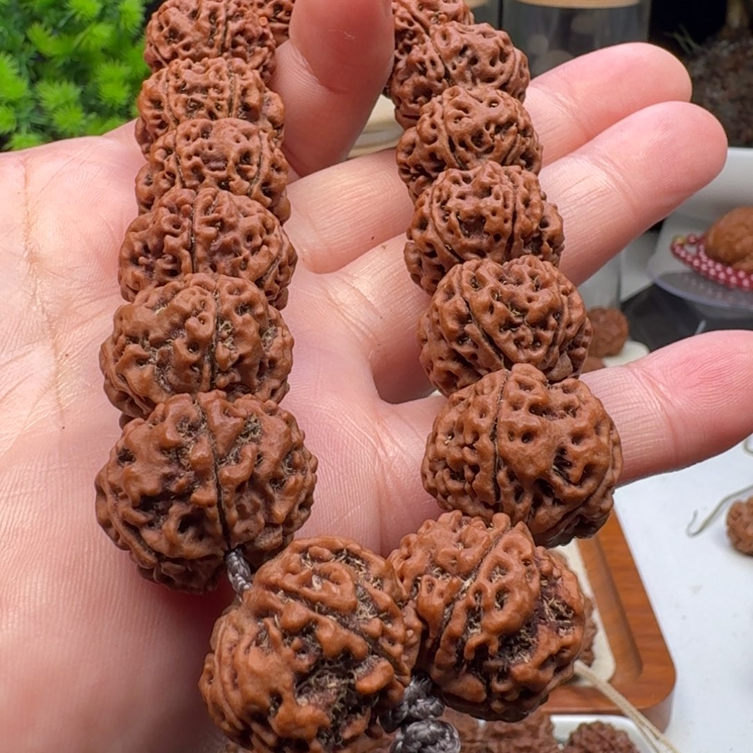 金刚菩提手串蜂窝双龙