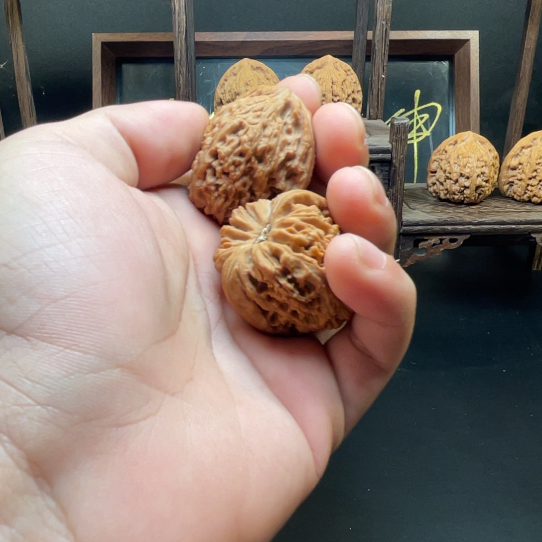 乘***@znfxgmxkxylxmyxkyxkydykdyodky