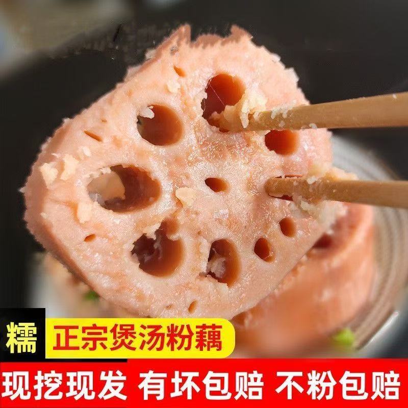 湖北洪湖新鲜九孔粉藕煲汤佳品农家特产现挖莲藕