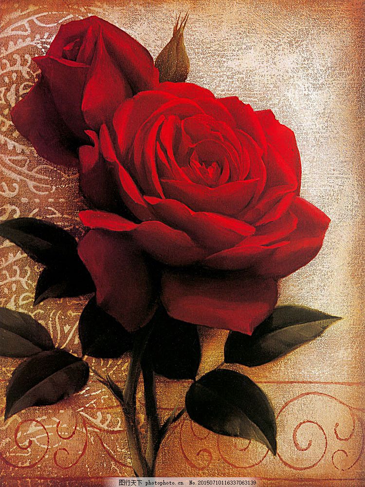 富贵3号-家用收纳（451-500）