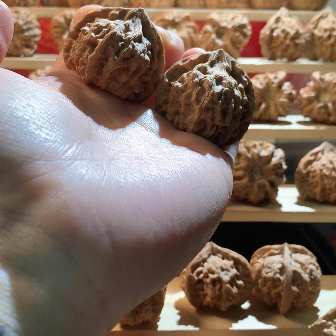 别***心核桃41龙门涧文玩核桃手把件