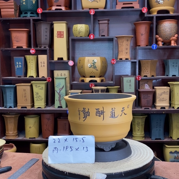 紫砂花盆紫砂花盆