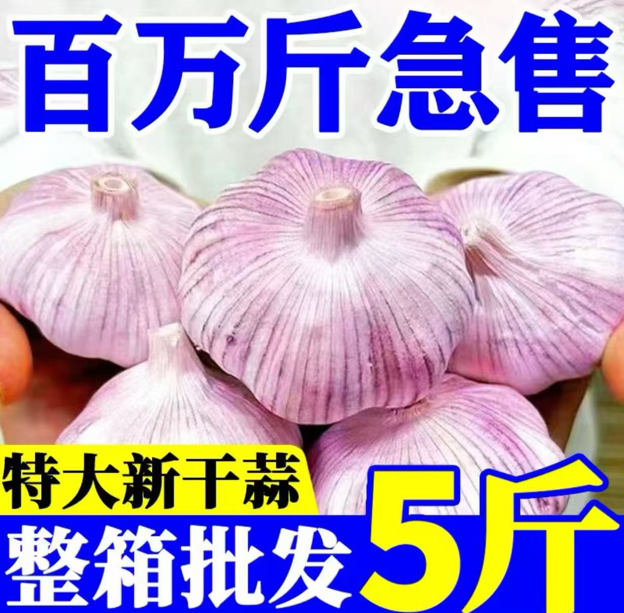 【2025新干蒜】干大蒜25年农家自种自晒紫白皮多瓣新干蒜辛辣头大蒜