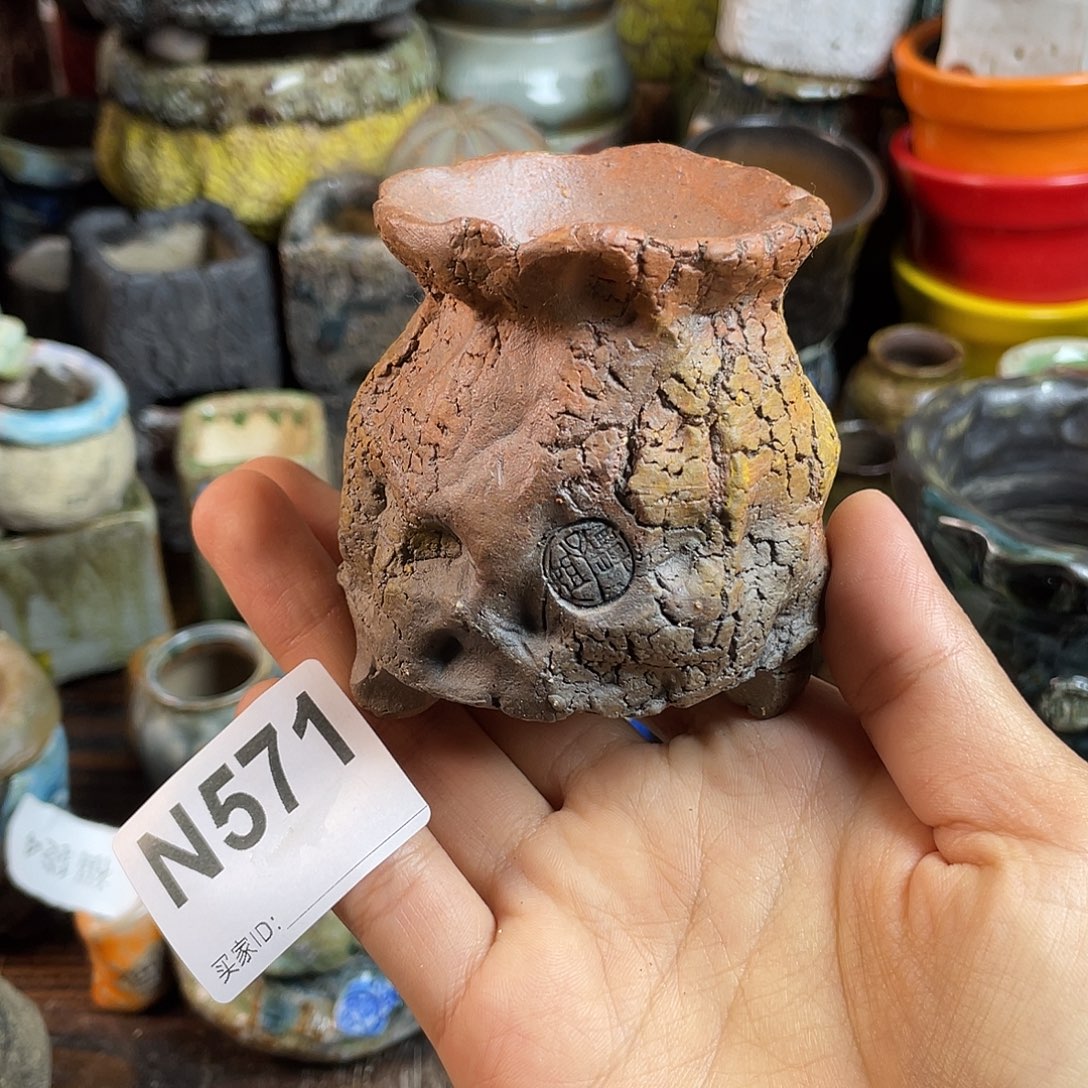 坛子姐花盆！双十二限时活动！默认微次 ！