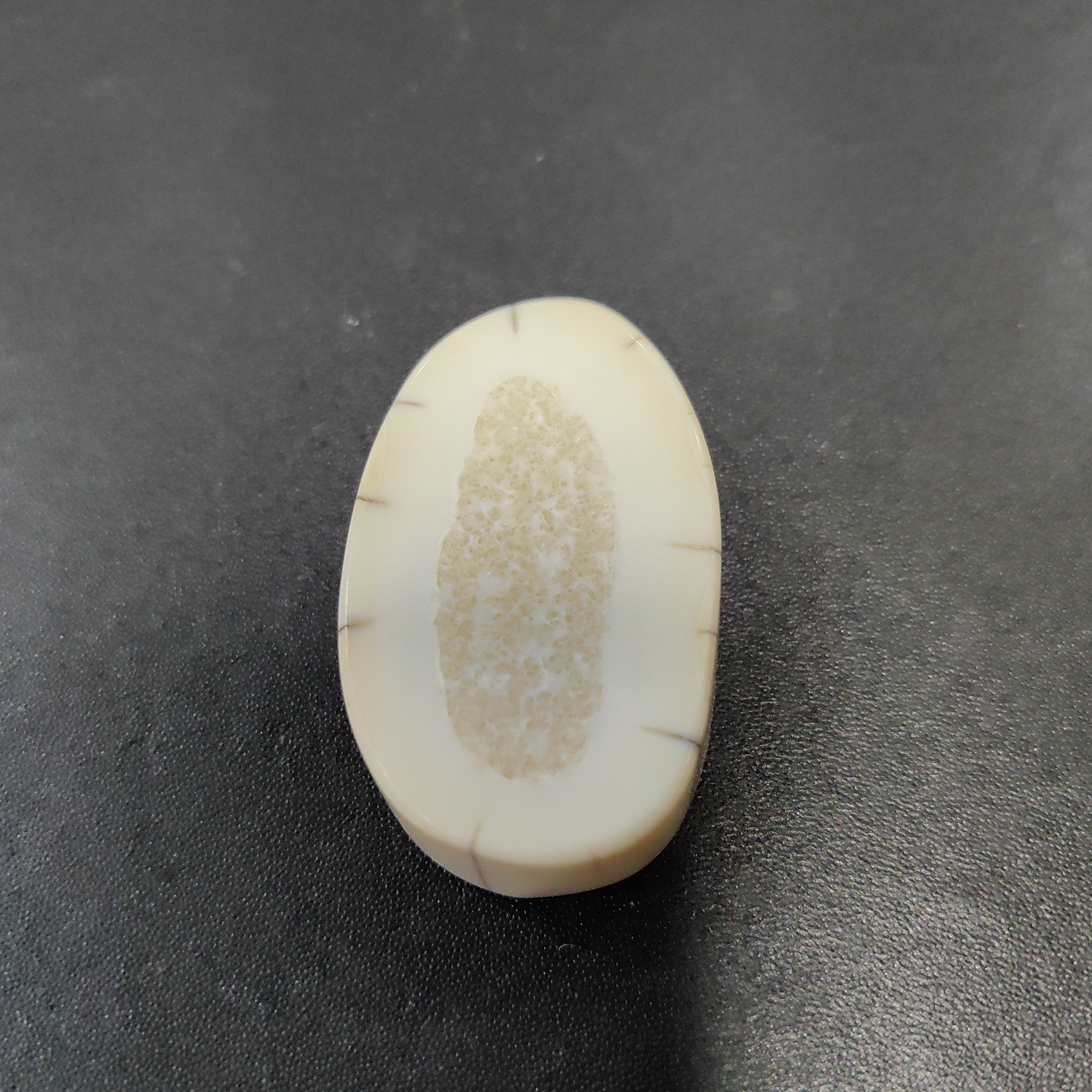 猛犸猛犸虬饼子  WT11