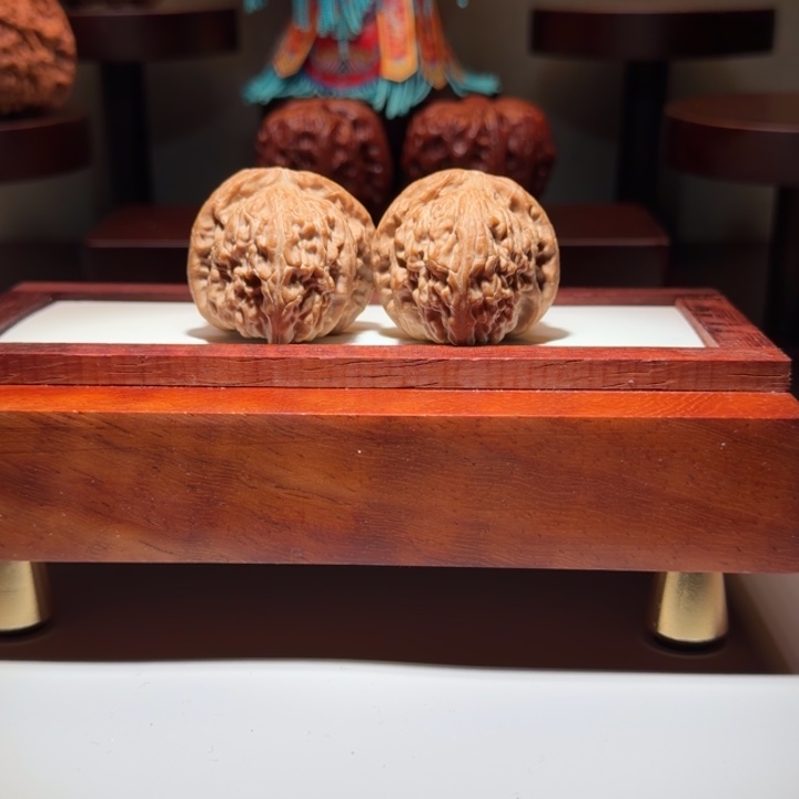 蛄***者小球白尺寸35骨质好