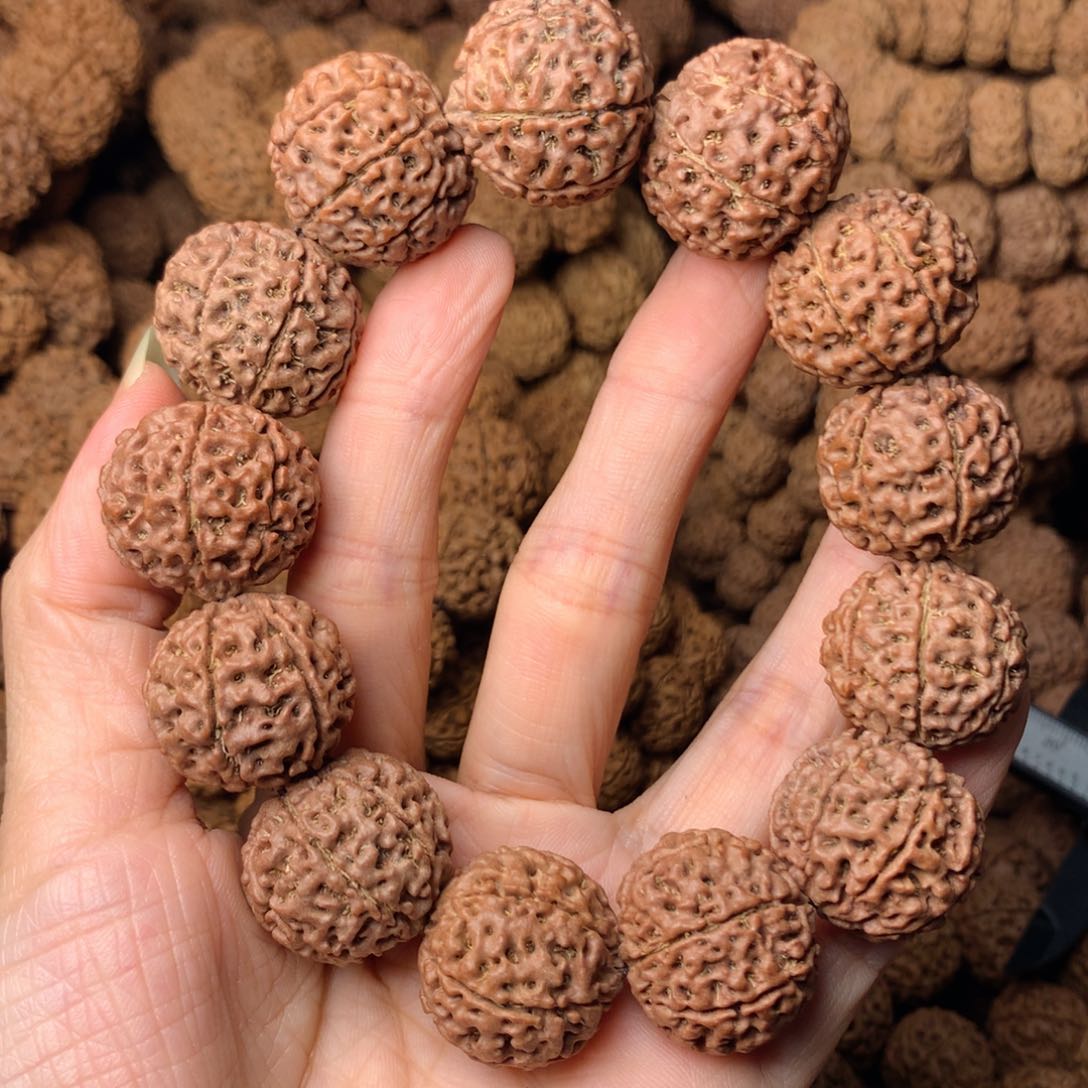 木7瓣爆肉卡23尺寸，40号