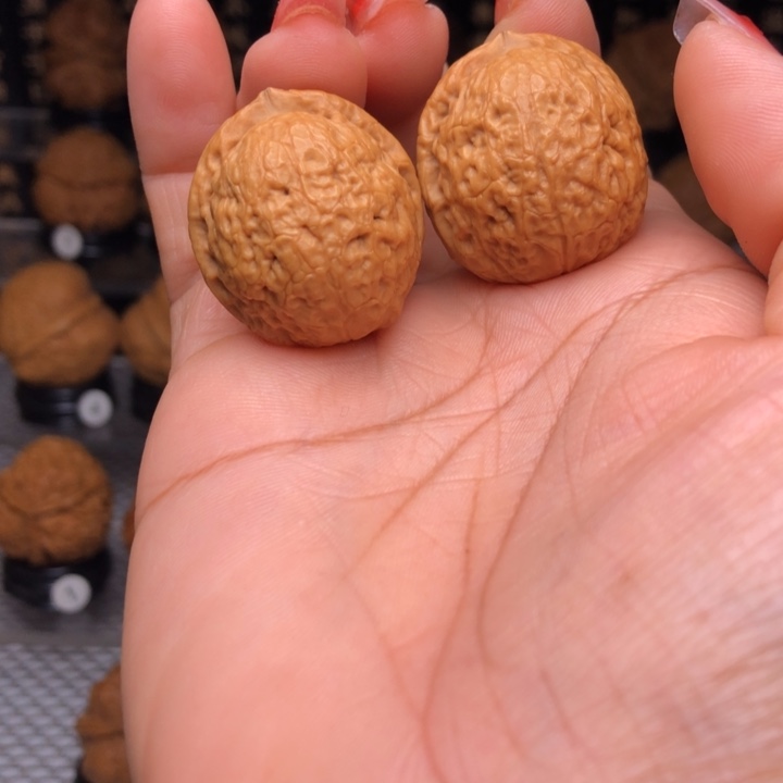 橄榄核吊坠21福星小铁锤