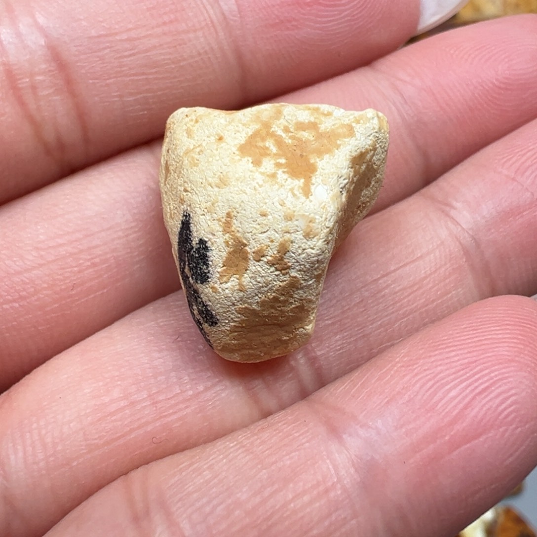 定制琥珀未镶嵌蜜蜡