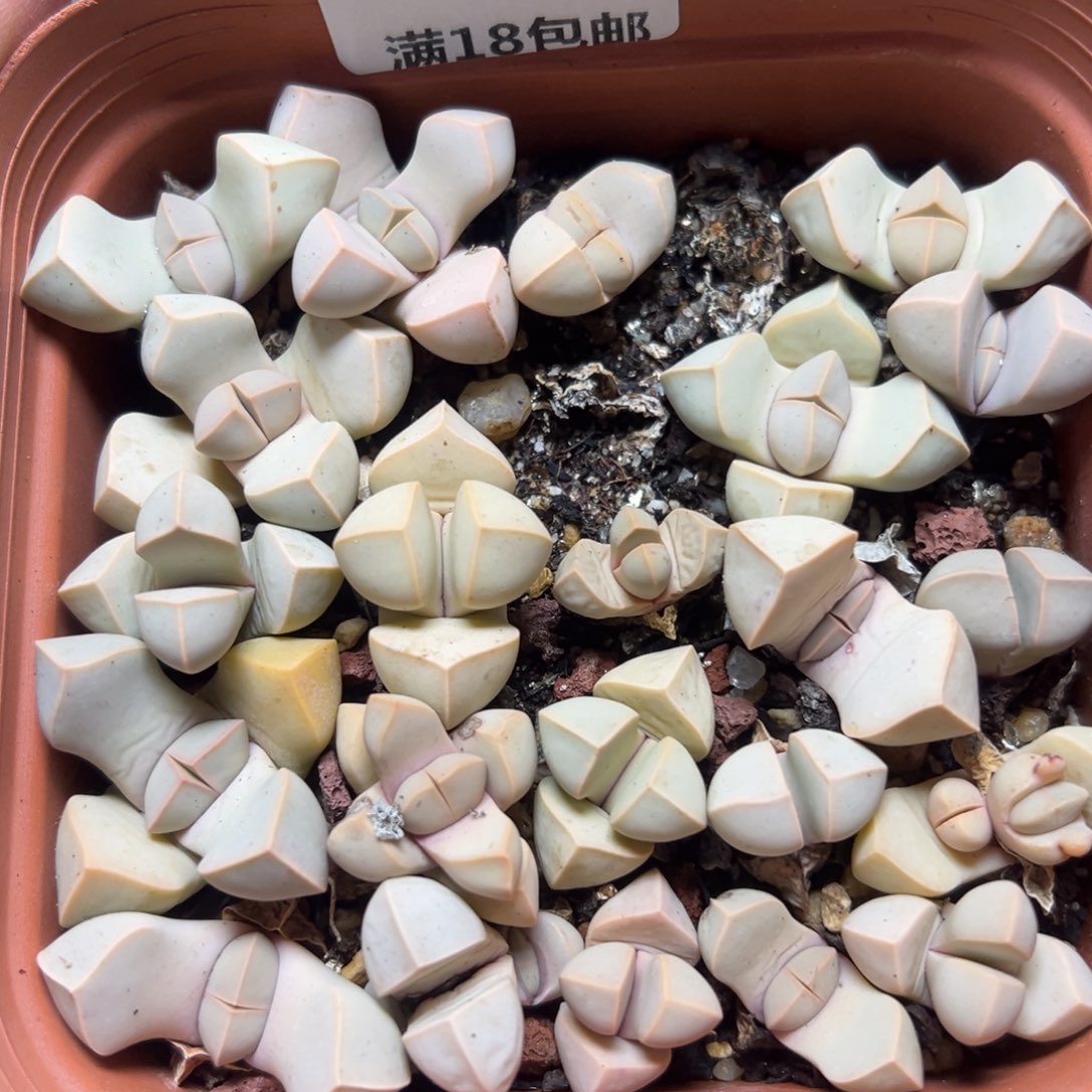 【闪购商品】463……