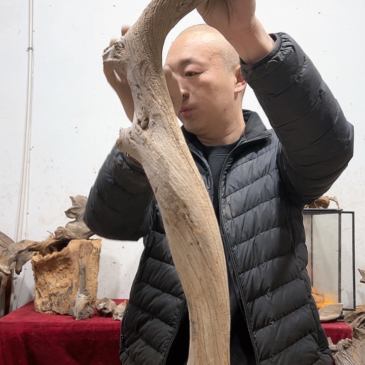 柏木龙*我们都是好孩子呀我