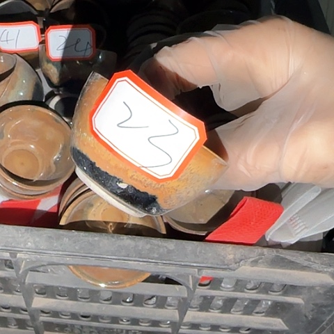 瓷片国营厂库存微瑕23