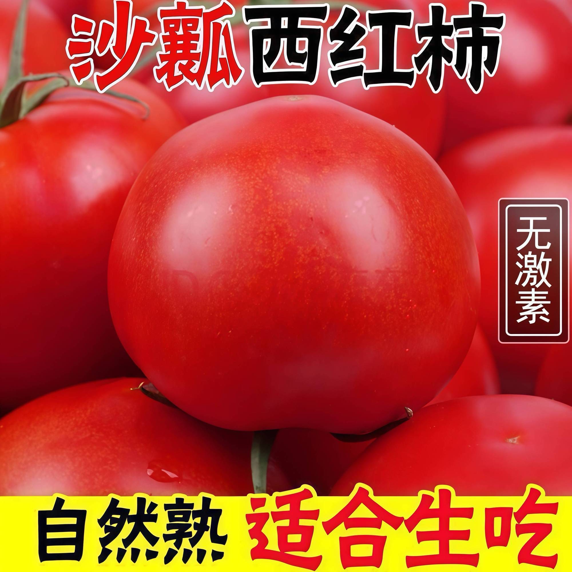沙瓤西红柿草莓心柿子新鲜采摘应季时令果蔬生吃果