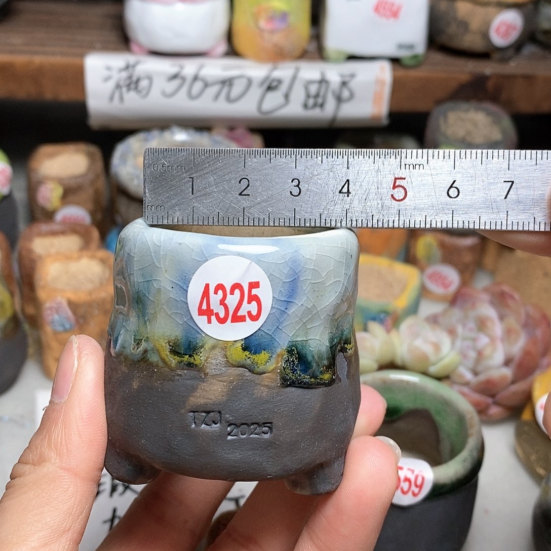 红陶拍5送一个小