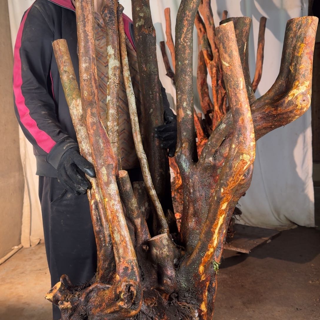 飞***哥8899999999999999999