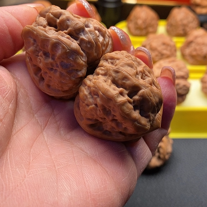 ￴***￴大叶紫檀（黑酸枝木类）