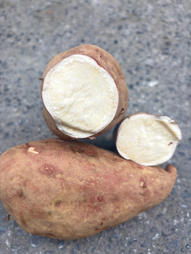 湘西本地老品种露天生红薯白心红薯（绵密甜糯）