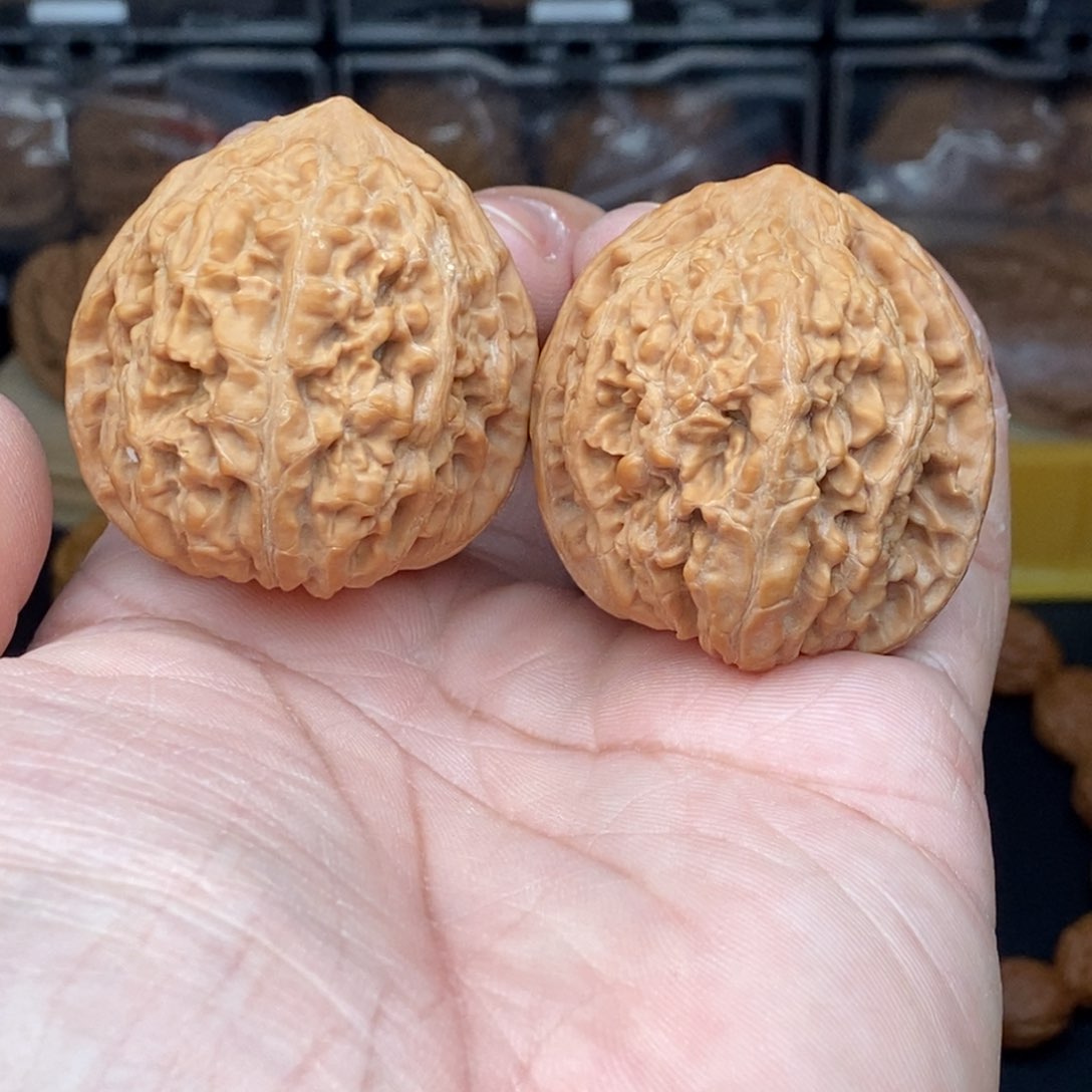 核桃把件 39左右粗棱牡丹纹