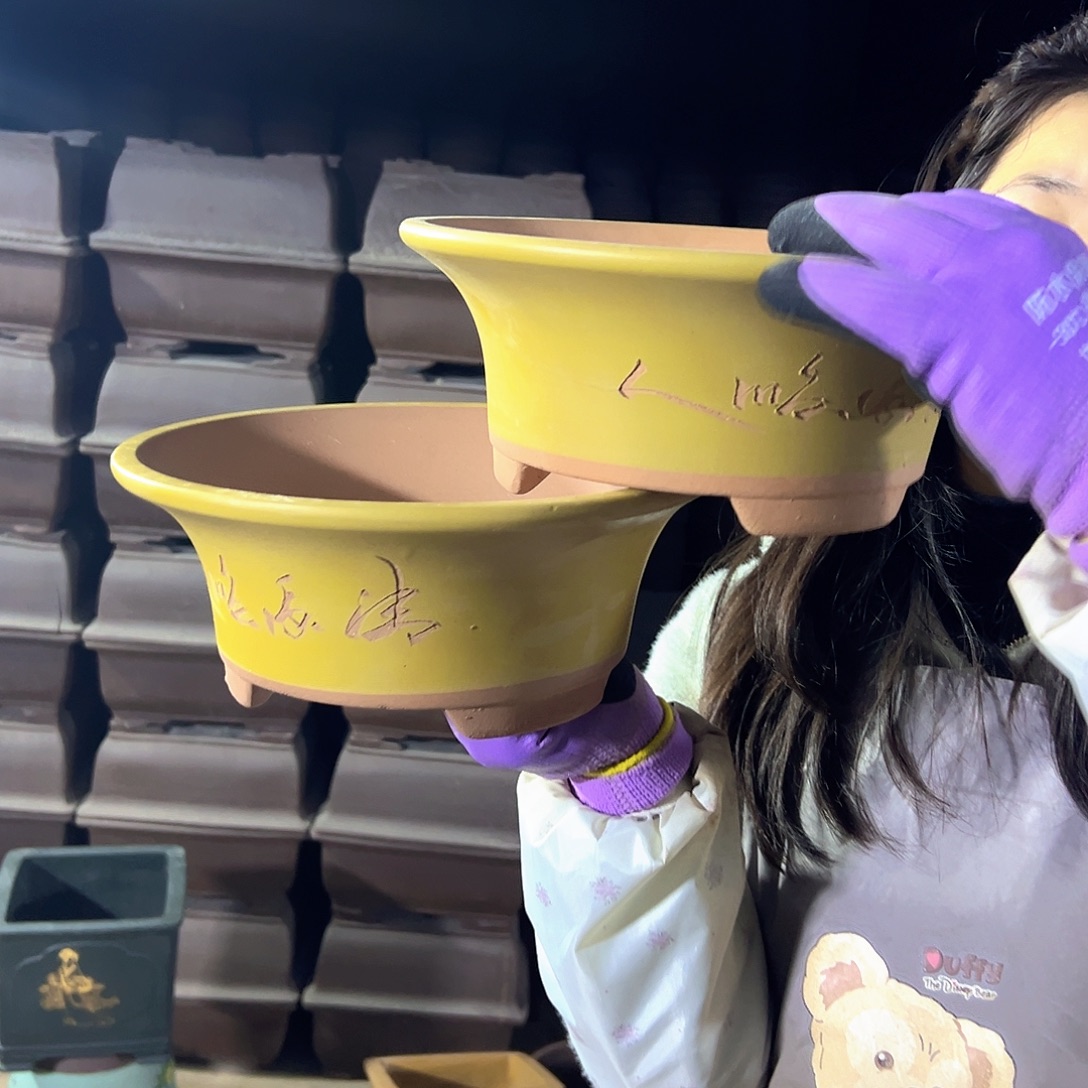 27+27黄票口花盆花盆花盆