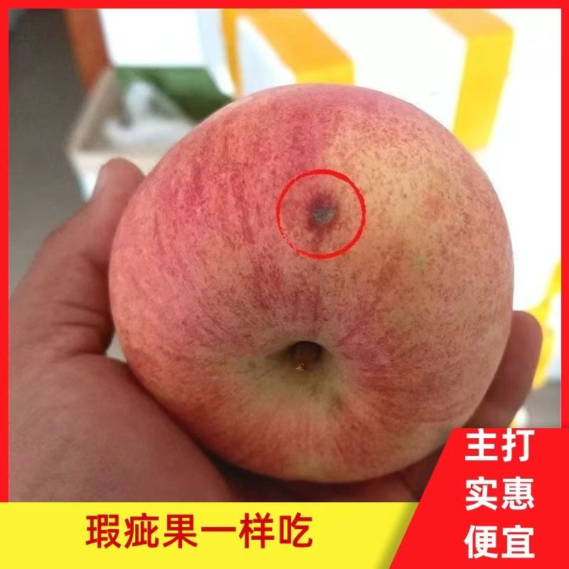 瑕疵红富士苹果脆甜多汁当季头茬大果介意勿拍瑕疵果