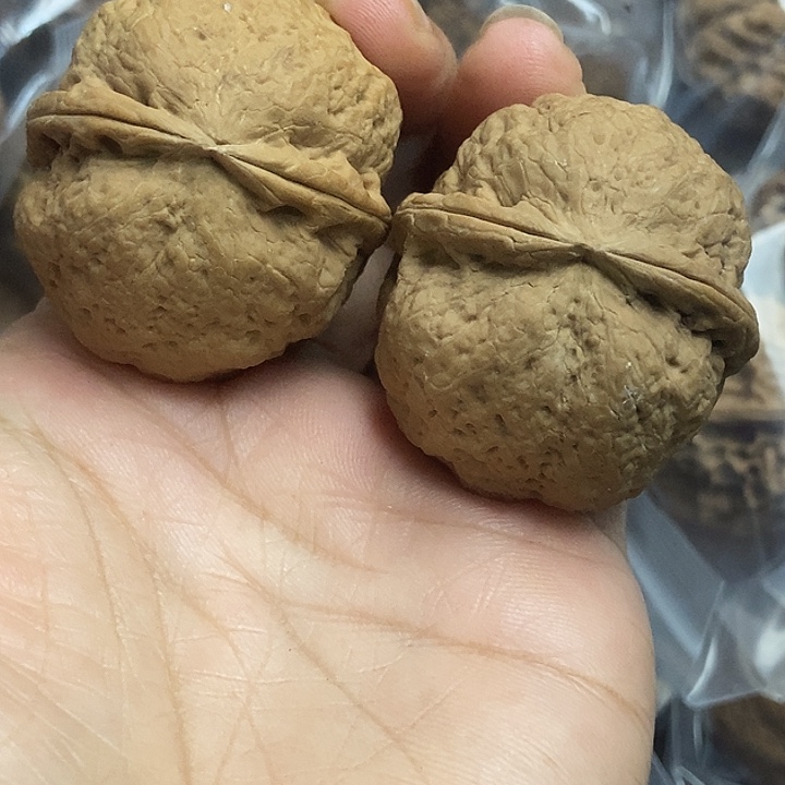 文玩核桃把件云南铁核桃基地14