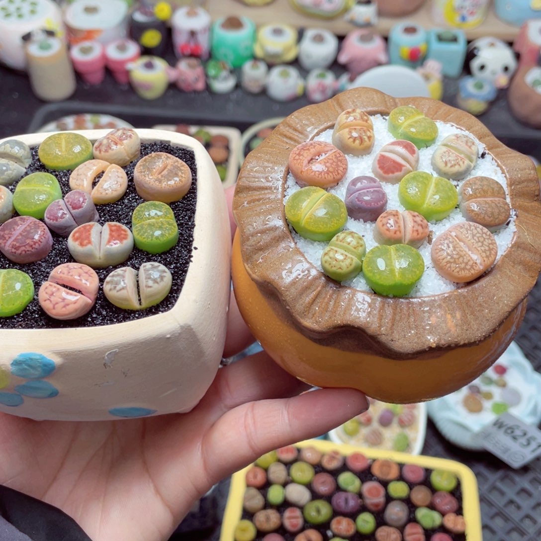 w6259 带盆土发货-零下地区拍保温箱