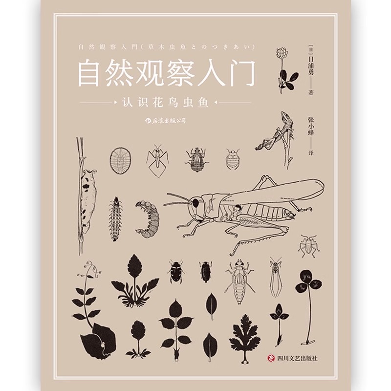 自然观察入门 认识花鸟虫鱼 万物漫游指南 自然科普