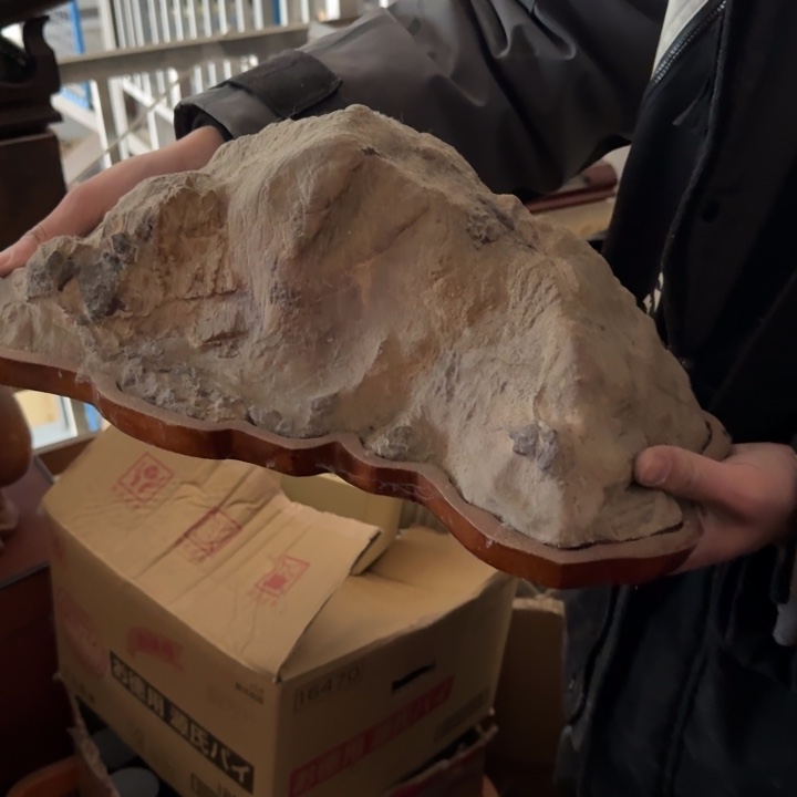 紫砂茶宠梓***梓现代工艺美术作品