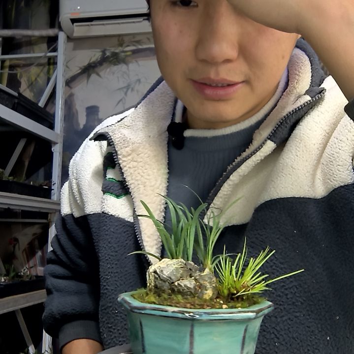 『***』中青园艺一物一拍花290