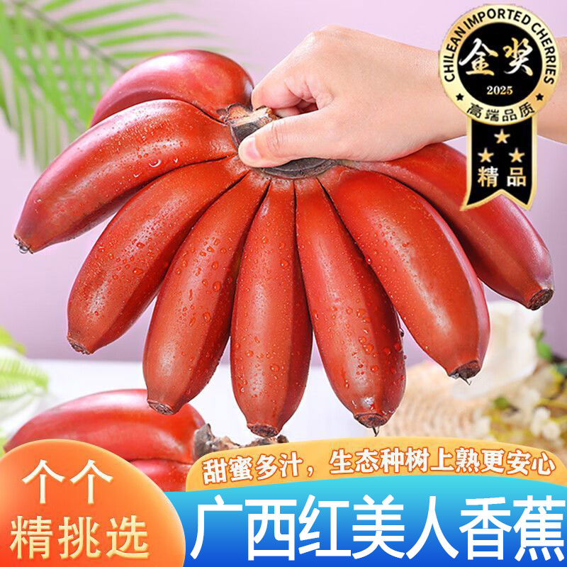 自然熟红皮香蕉红美人香蕉软糯香甜当季新鲜水果广西直发