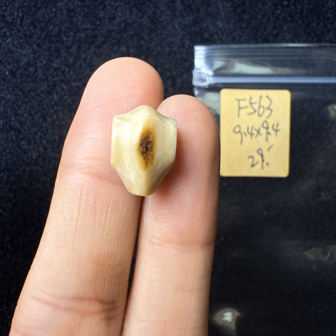 F563猛犸象牙鲨鱼背三通尺寸9.4*9.4mm果冻料