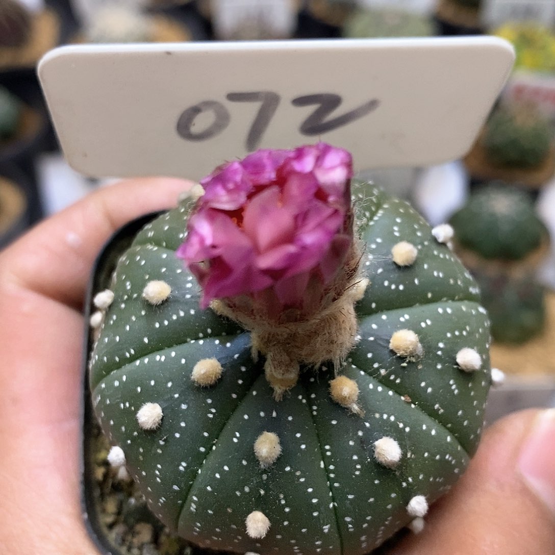 开播福利，特价来了