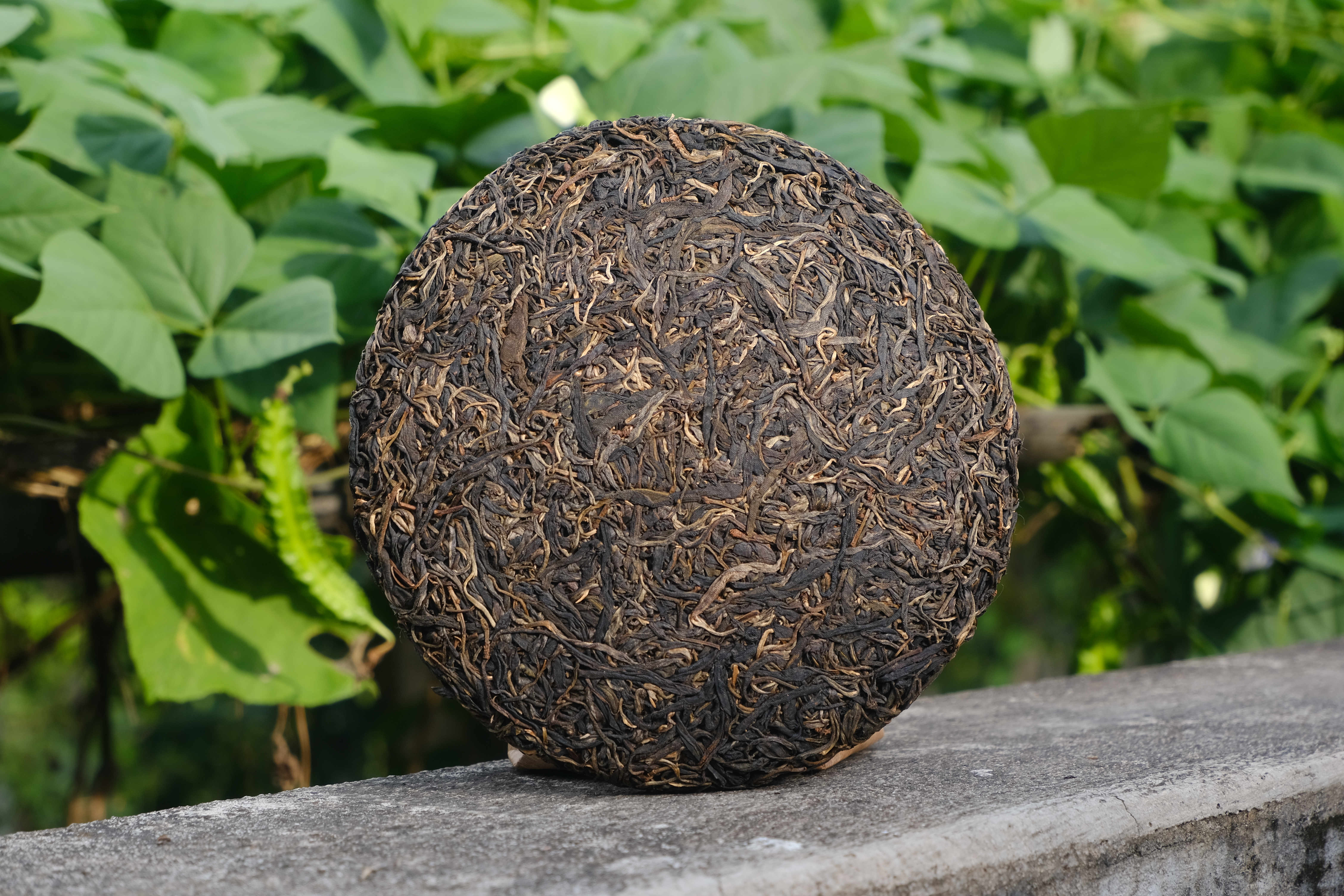 2017年弯弓古树饼茶357g(生茶)