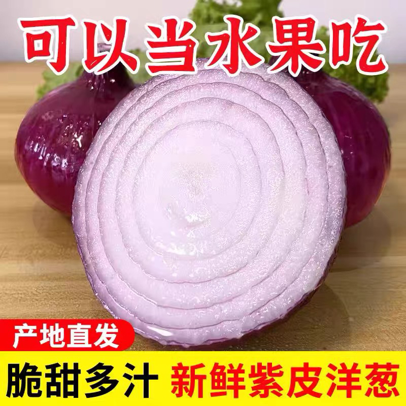 [买五斤送五斤]紫红皮洋葱新鲜洋葱现挖洋葱圆葱头批发农家自种