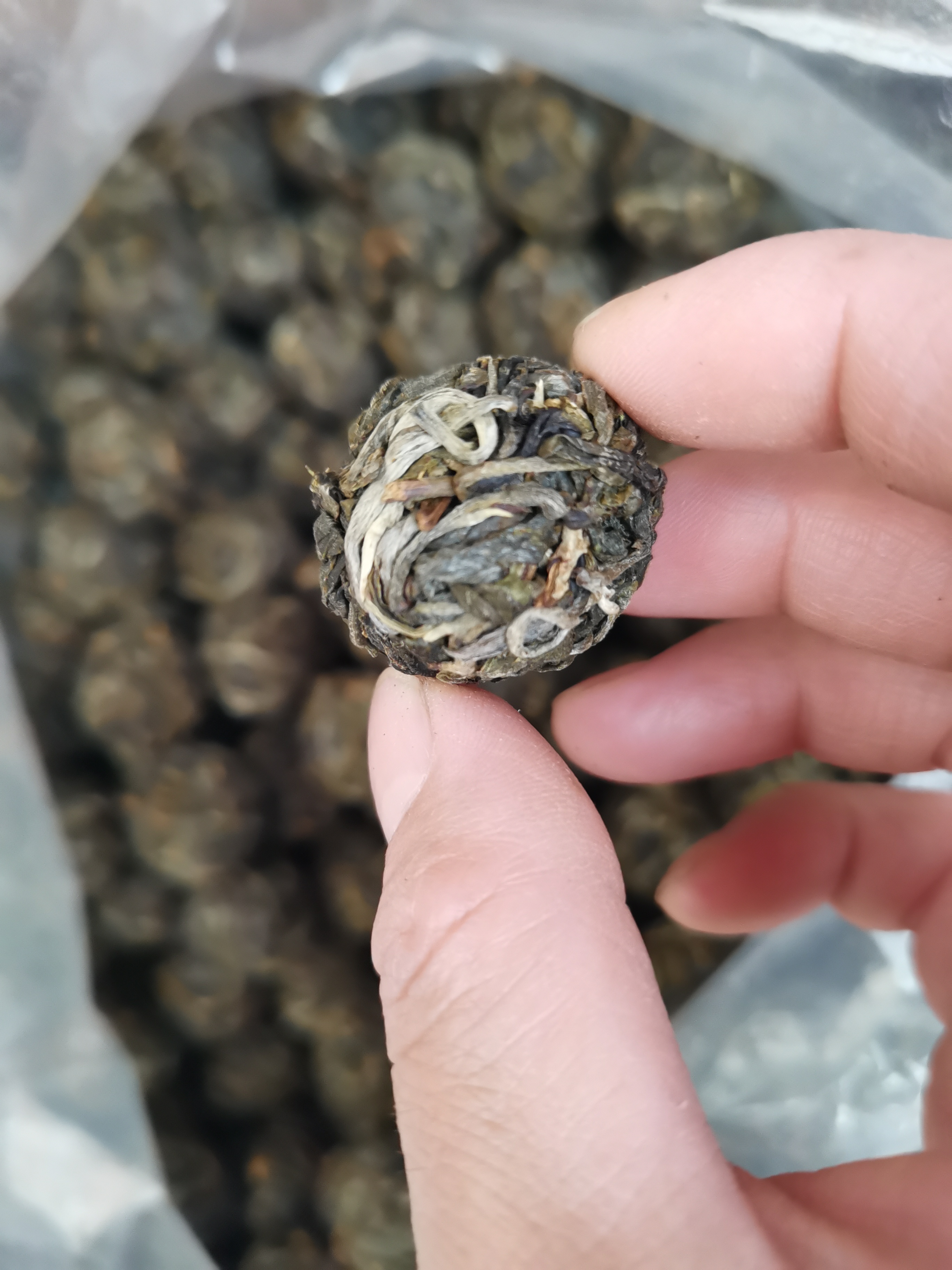 （应方好茶）熊猫地森林茶2025年古树茶6克/龙珠