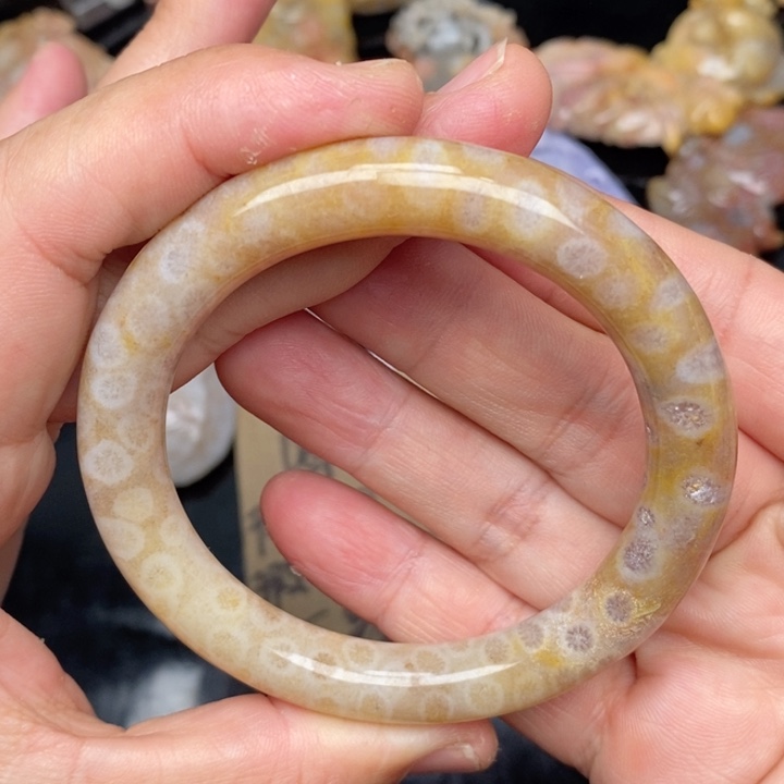 硅化珊瑚（珊瑚玉）手镯未镶嵌53.8