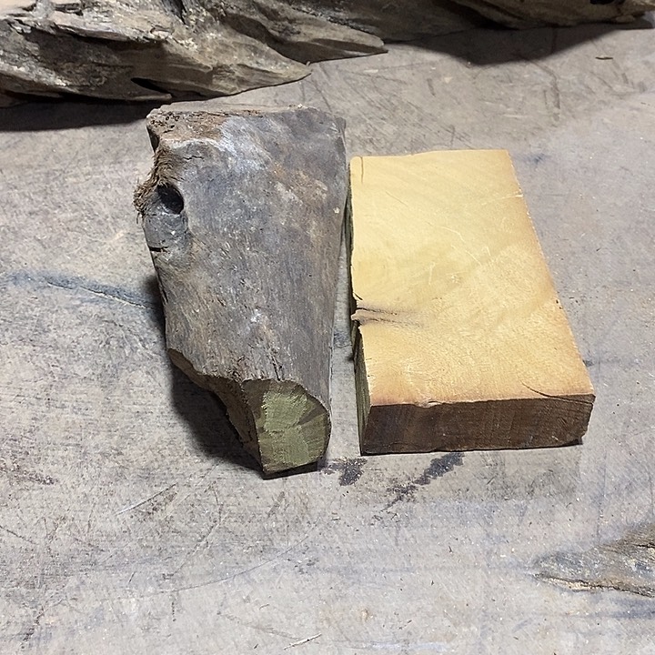 香榧木金丝楠木小叶