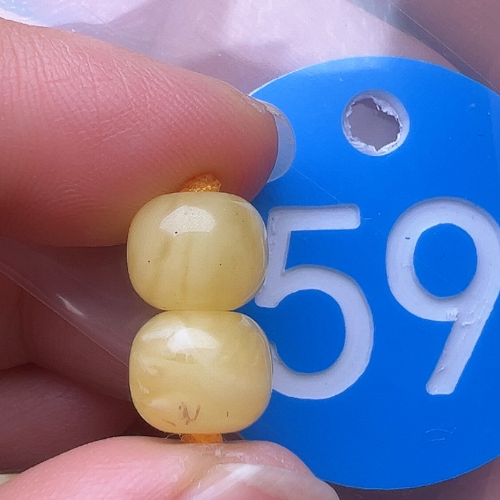 蜜蜡裸石未镶嵌花粉9.4m m