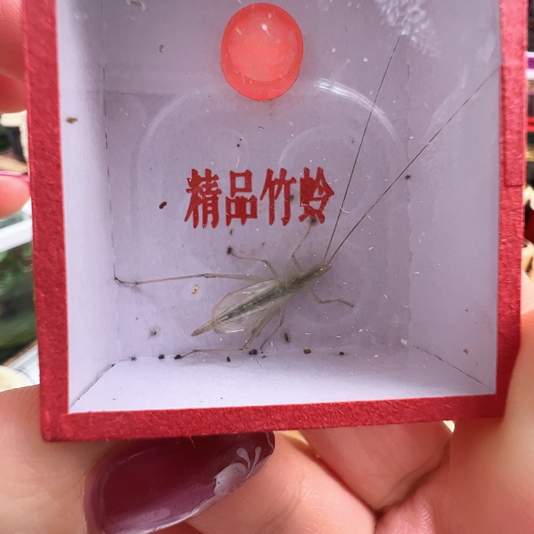 哈哈哈哈哈天水一个