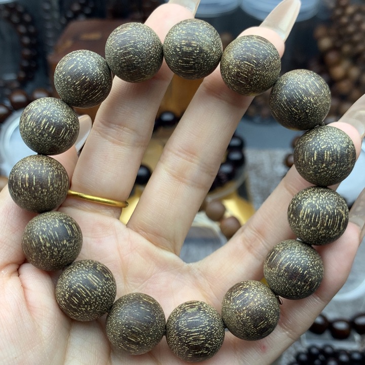 贡木巴布亚1.5爆星粗抛