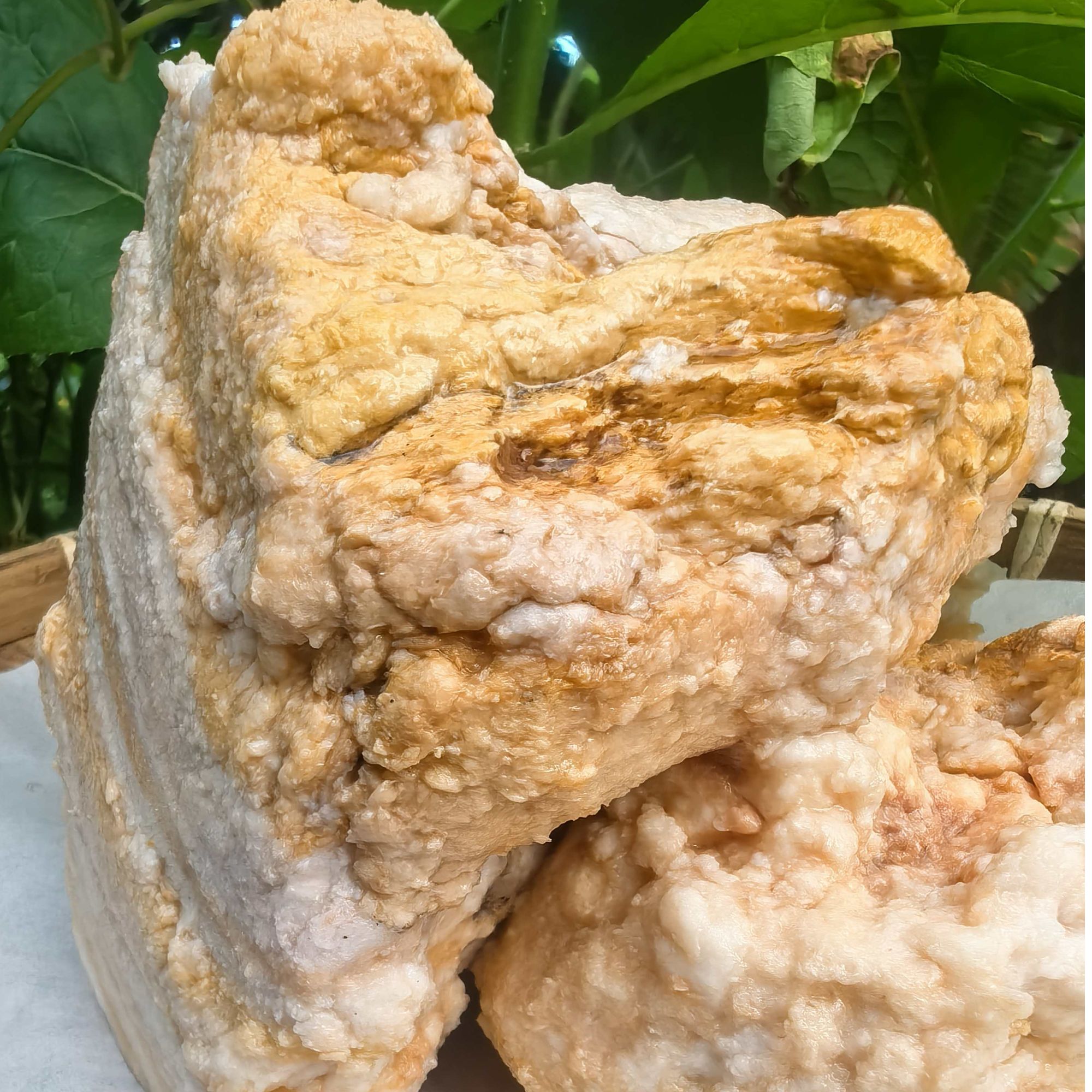 【阿海精选】土特产石冭岁