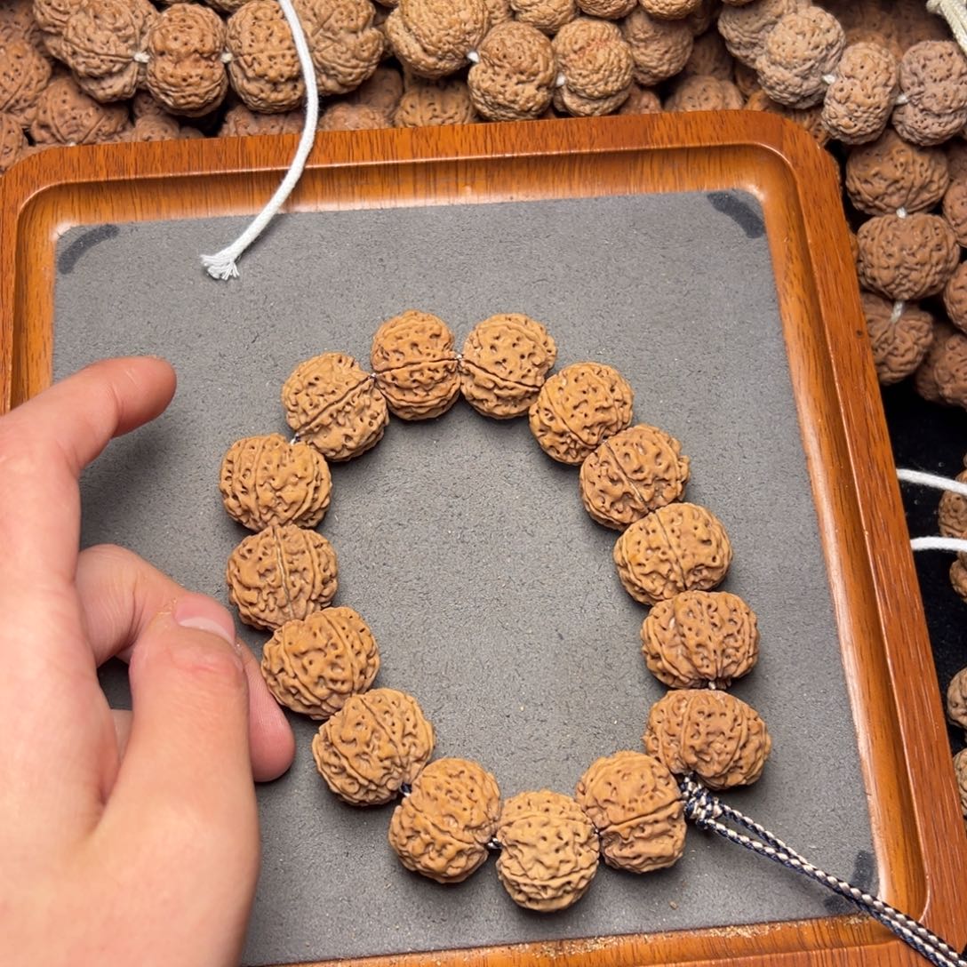 菩提3号尼泊尔大金刚七瓣22.5-23原生态