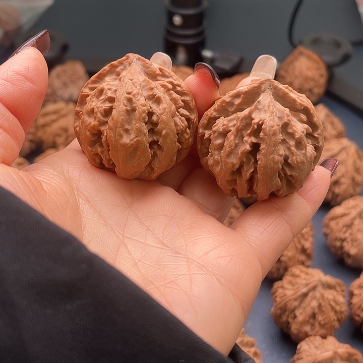 龙脊菩提把件秦岭核桃