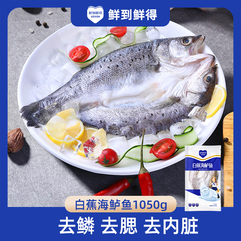 【鲜到鲜得】白蕉海鲈鱼1050g*2到手6条 